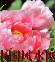 上海预示你财运上升，姻缘可成的梦境，快来看看吧！